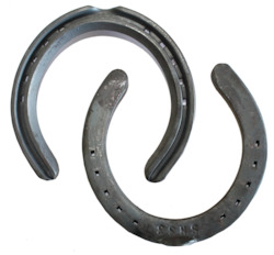 O'DWYER HORSESHOES STANDARD HACK SHOE