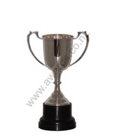 Silverware: Silver sports cup 21cm