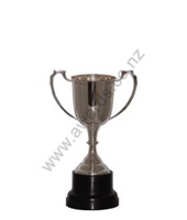 Silverware: Silver sports cup 13cm