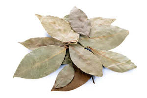 Mexican Bay Leaf - Laurel