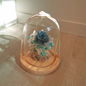 Gift: Baby Preserved Flower Dome