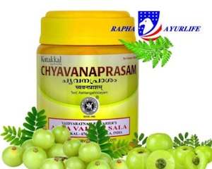 Kottakkal Chyavanaprasam Excellent Immune Booster Anti-oxidant – 500 g