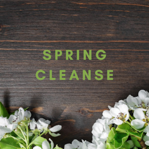 Ayurveda Spring Cleanse Online Workshop - Date to be defined