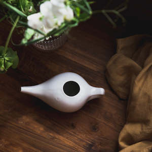 Ayurvedic Cleansing Purification: Neti Pot