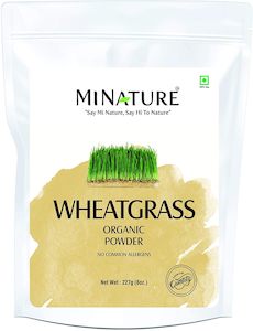 Organic Wheat Grass Powder 227g - USDA Certified