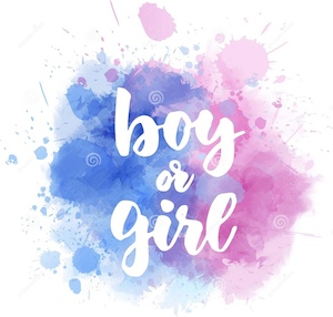 Products: Gender Maker - Boy or a Girl Gender Prediction Test