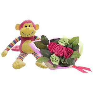 All: Monkey Baby Bunch Berry