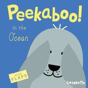 Peek A Boo In The Ocean Book