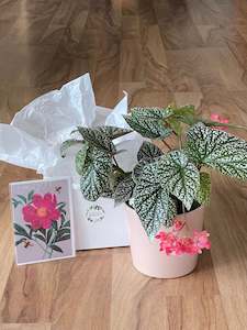 Botanical Bliss Gift Bundle