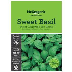 McGregor's Basil Sweet Genovese San Remo Pesto Seed