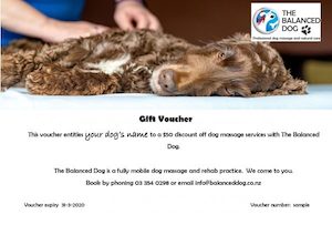 Massage: Gift voucher