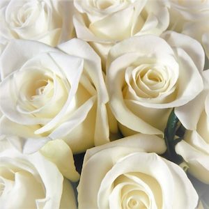 DIY Wedding Flower Pack 60 Roses