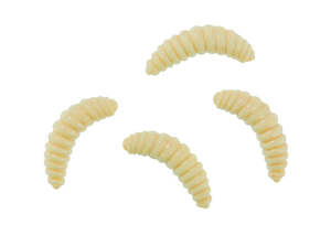 Sporting equipment: Flavoured Bee Maggot (Natural)