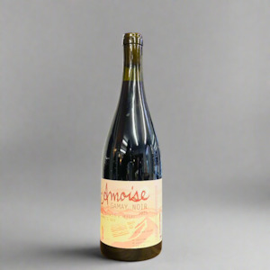 Amphora Gamay Noir 2023 | Amoise (Hawkes Bay, NZ)