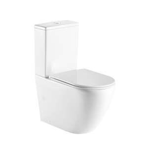 Bathroom and toilet fitting: CODE FLOW TYPHOON FLUSH BTW TOILET SUITE