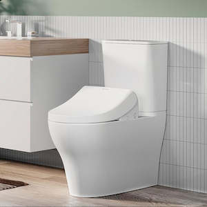 Bathroom and toilet fitting: AMERICAN STANDARD PRISTINE E-BIDET SEAT