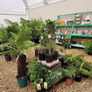 In-Store Bay Landscapes & Garden Centre