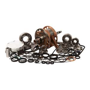 Motorcycle or scooter: COMPLETE ENGINE REBUILD KIT HON TRX450 R 04-05