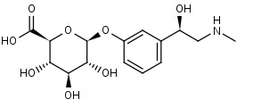 P: Phenylephrine Glucuronide