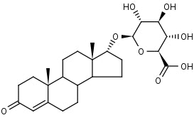 Epitestosterone Glucuronide