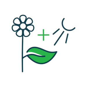 PhotoMax - increase photosynthesis - BdMax