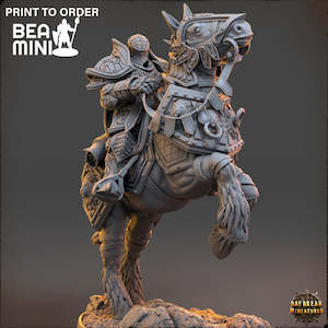 Miniatures: Le Chevalier Florian de l'Ancienne Bataille - The Paladins of The Silver Lion | BeaMini Print to Order Miniatures