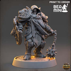 Miniatures: Mattias du Lion Tuant - The Paladins of The Silver Lion | BeaMini Print to Order Miniatures