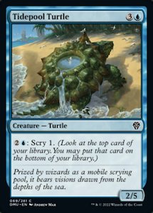 Dominaria United: Tidepool Turtle [Dominaria United]