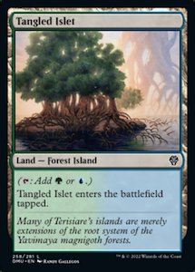 Dominaria United: Tangled Islet [Dominaria United]