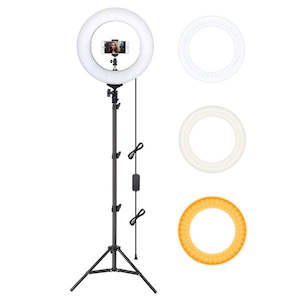 Dual Color Dimmable LED Ring Light With Carry Bag