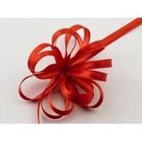 Ribbon - Pull Bow Satin