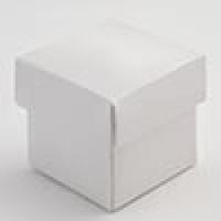 Event, recreational or promotional, management: Perla Square box & lid