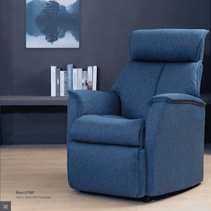 Furniture: Boss Lift Chair