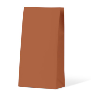 Burnt Orange Medium Coloured Gift Paper Bag