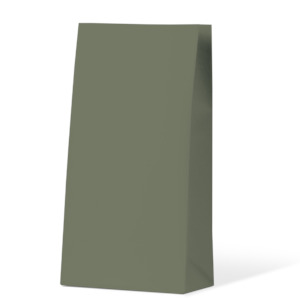 Earth Green Medium Coloured Gift Paper Bag