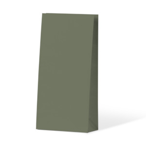 Earth Green Coloured Gift Paper Bag