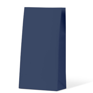 Earth Collection Gift Bags: Navy Medium Coloured Gift Paper Bag