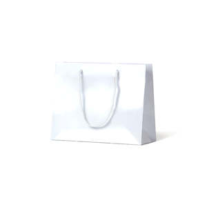 Gloss Laminated Paper Carry Bags: Laminated Gloss Emerald - White