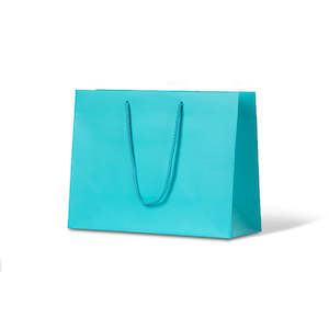 Matte Laminated Paper Carry Bags: Laminated Matte Ruby - Aqua