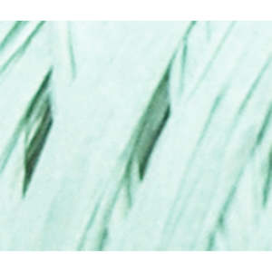 Paper Raffia: Paper Raffia 4mm X 100mtrs Mint