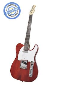 NEWEN – TL Electric guitar pack. Hand made in Argentina Incl. Vox amp