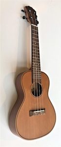 Fzone FZU D30 Concert size Ukulele with bag. Solid top