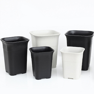 Plastic Thick Tall WANXIANG Nursery Pot 厚实高万象盆 WXP