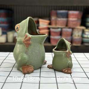 Froggy Fun Planter Succulent Pot