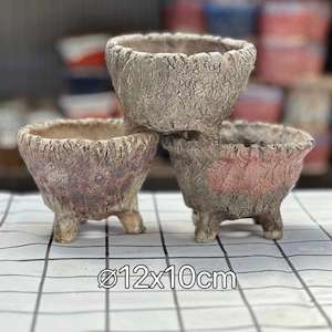 Earthen Elegance Succulent Pottery Pot