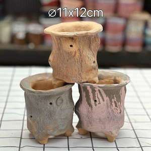 Color Mystic Wood Succulent Pottery Pot