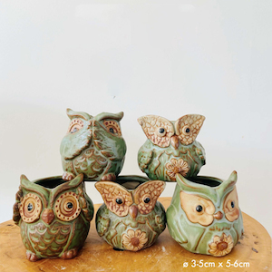 Glazed Cute Color Owl Φ6×8.5cm