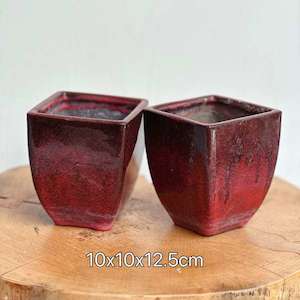 Crimson Square Succulent Pot， 2 as a set