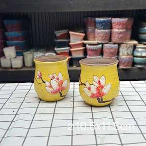 Cosmetic: Sunlit Blossom Succulent Pot