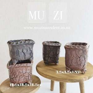 “Tree Bark” Texture, Square Pots 2 Styles Available